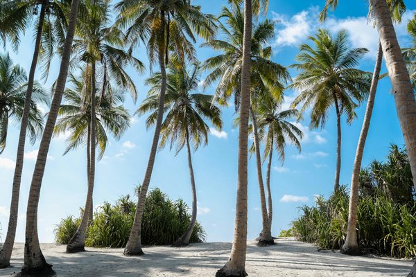 Discover the ultimate london escape: ideal rental for effortless access to fascinating historical walking tours